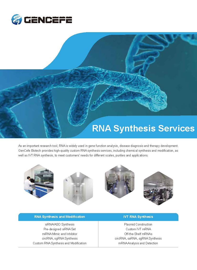 RNA Synthesis Services